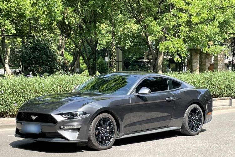 2019 Ford Mustang 2.3T EcoBoost Performance Edition